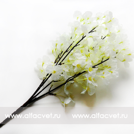 искусственные цветы глициния цвета белый 6