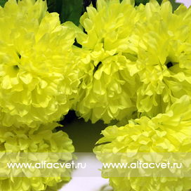 искусственные цветы букет хризантем цвета салатовый 39