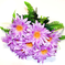 искусственные цветы ромашки с папоротником цвета сиреневый 8
