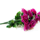 искусственные цветы розы цвета фиолетовый 7