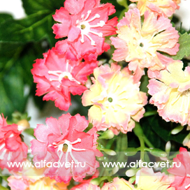 искусственные цветы гвоздика (турецкая) цвета кремовый с розовым 56