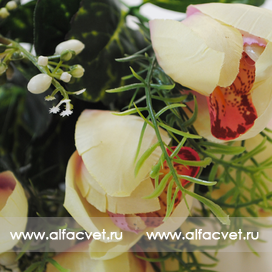 искусственные цветы орхидеи цвета красный с белым 21