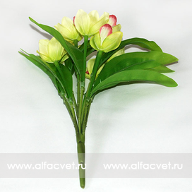 искусственные цветы орхидеи цвета салатовый 39
